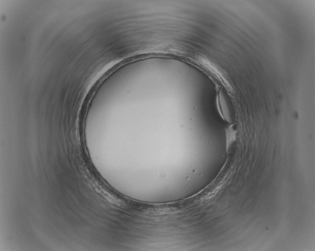 X0000072510884200608041503