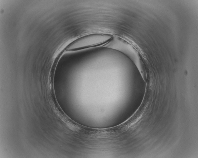 X0000072510885200608041503