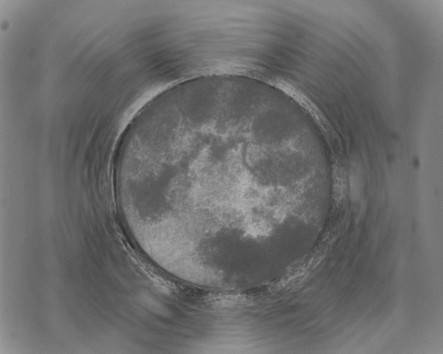 X0000072510886200608041503