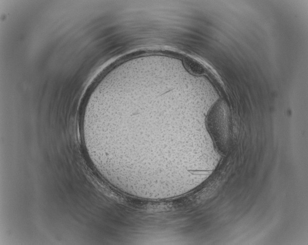 X0000072510887200608041503