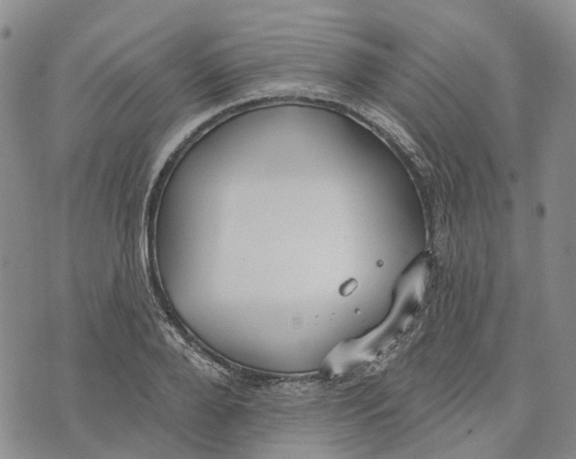 X0000072510888200608041503