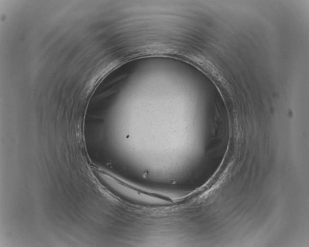 X0000072510889200608041503