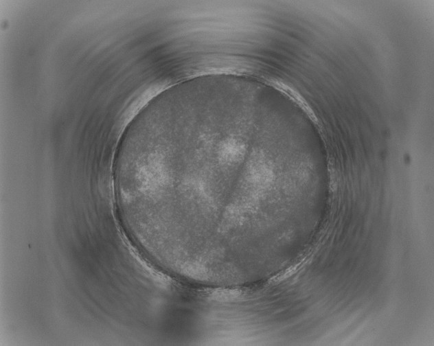 X0000072510890200608041503