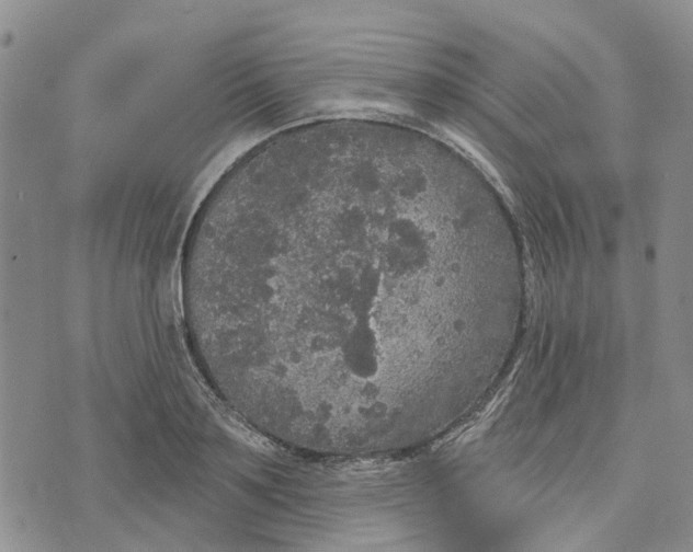 X0000072510891200608041503