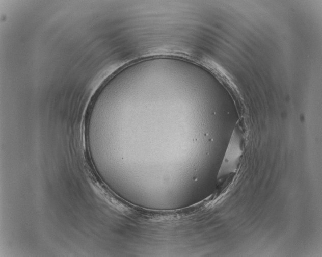 X0000072510892200608041503