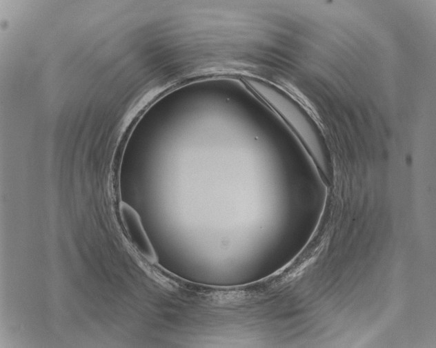 X0000072510893200608041503