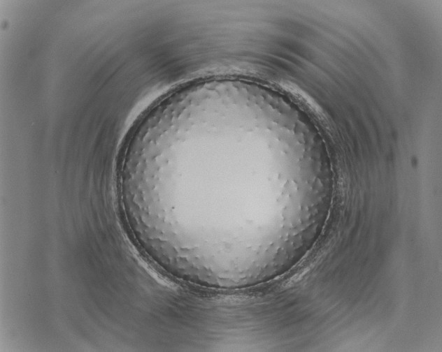 X0000072510894200608041503