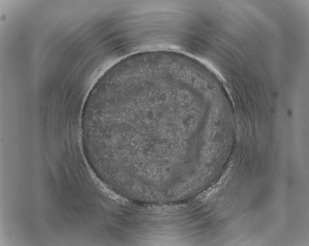 X0000072510895200608041503