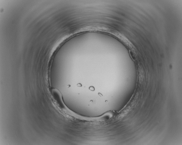 X0000072510896200608041503