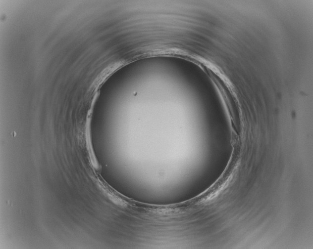 X0000072510897200608041503