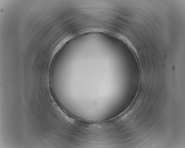 X0000072510898200608041503