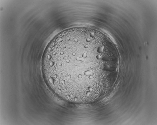 X0000072510899200608041503