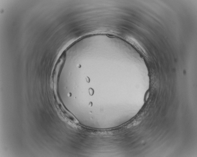 X0000072510900200608041503