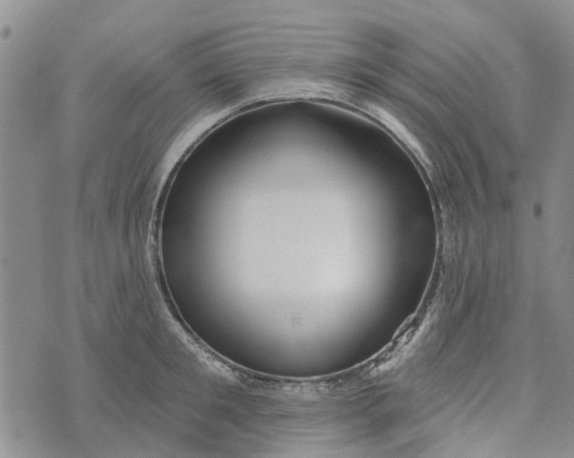 X0000072510901200608041503