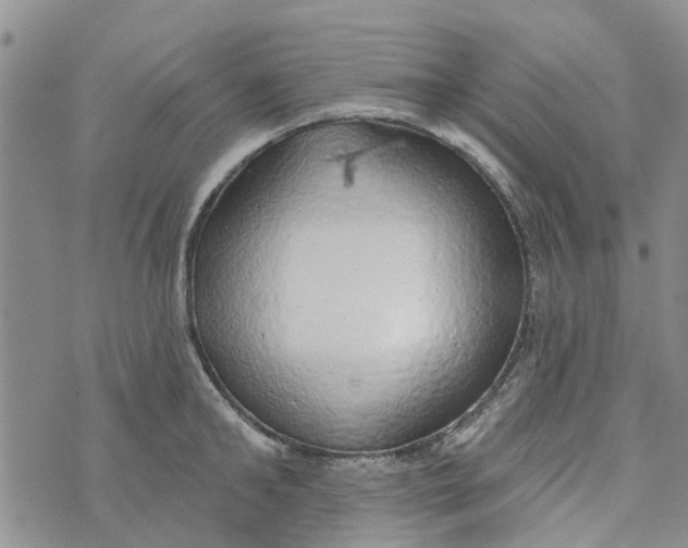 X0000072510902200608041503