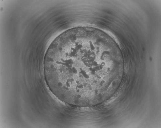 X0000072510903200608041503