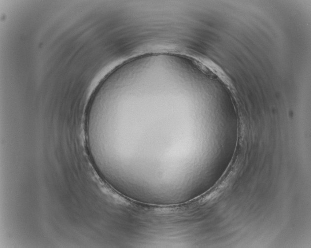 X0000072510904200608041503