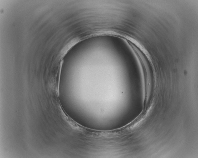 X0000072510905200608041503