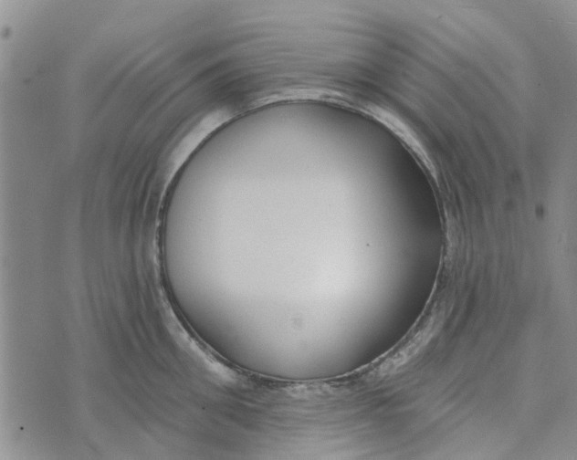 X0000072510906200608041503