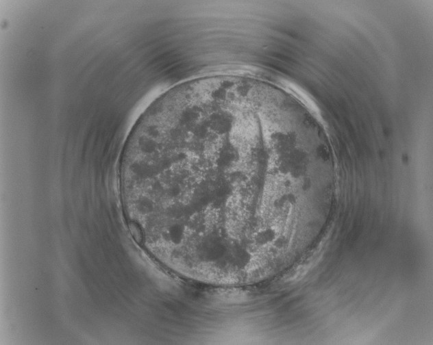 X0000072510907200608041503