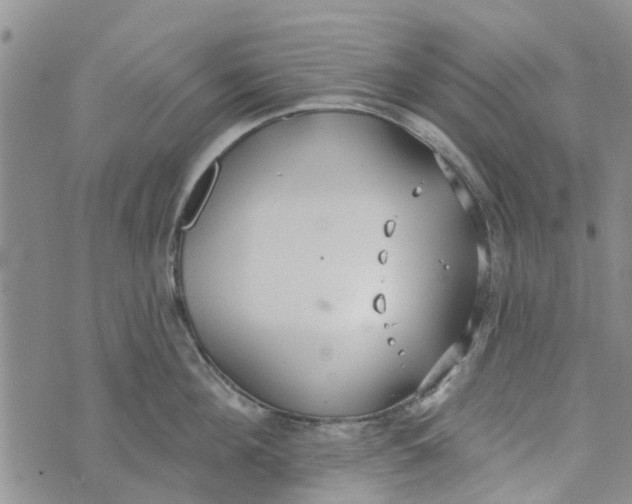 X0000072510908200608041503