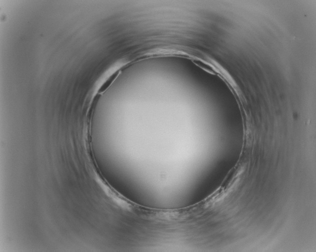 X0000072510909200608041503