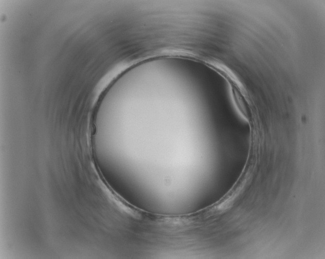 X0000072510910200608041503