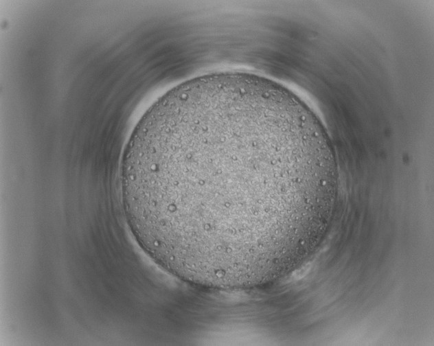 X0000072510911200608041503