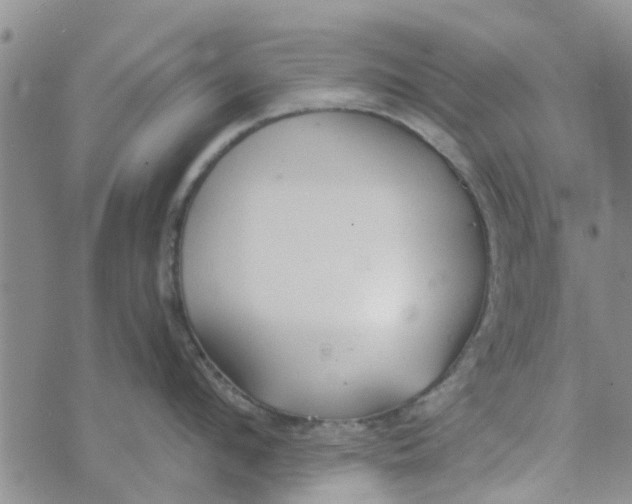 X0000072510912200608041503