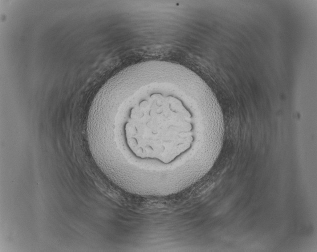 X0000072510913200608041502