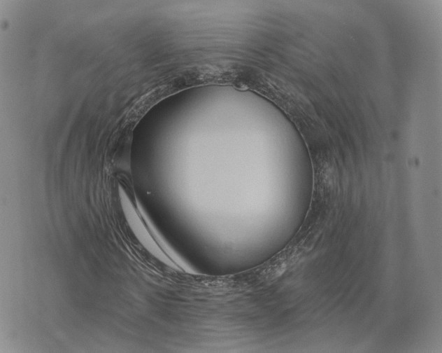 X0000072510914200608041502