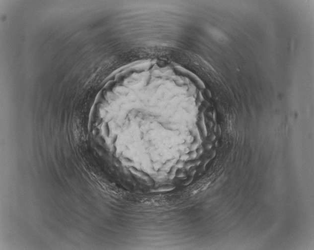 X0000072510915200608041502