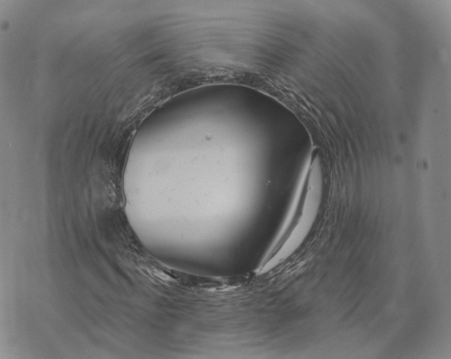 X0000072510916200608041502