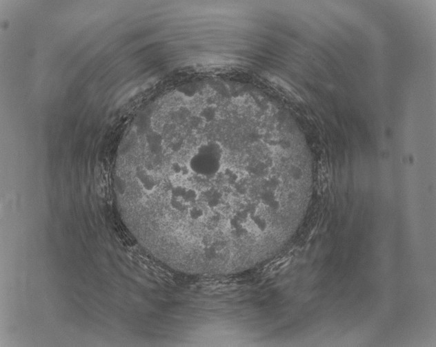 X0000072510917200608041502