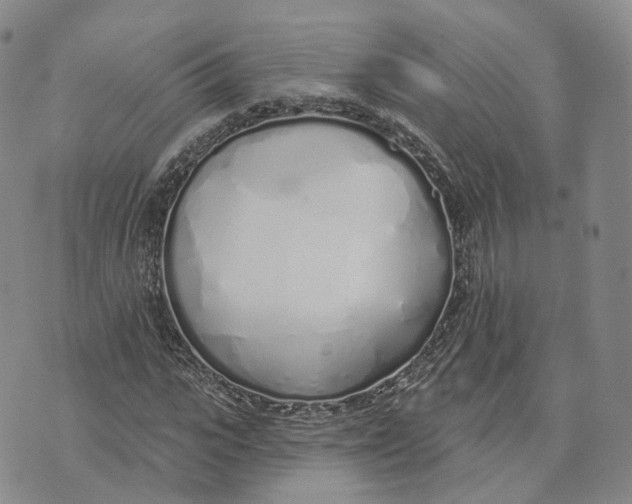 X0000072510919200608041502