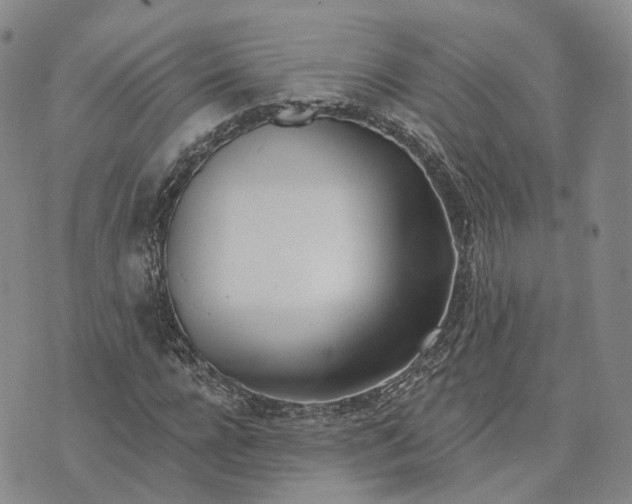 X0000072510920200608041502