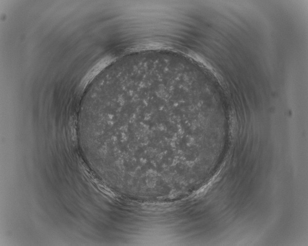 X0000072510921200608041502