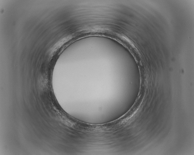 X0000072510922200608041502