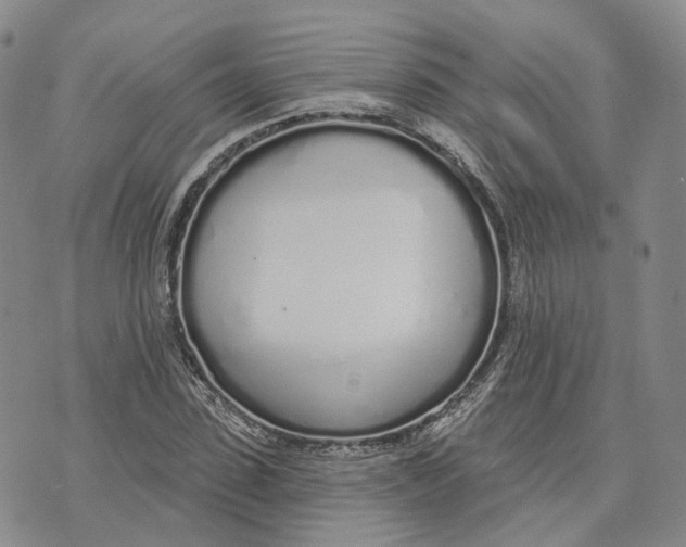 X0000072510923200608041502