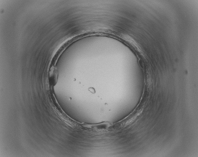 X0000072510924200608041502