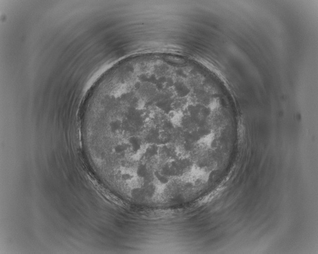 X0000072510925200608041502