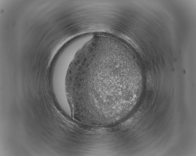 X0000072510926200608041502