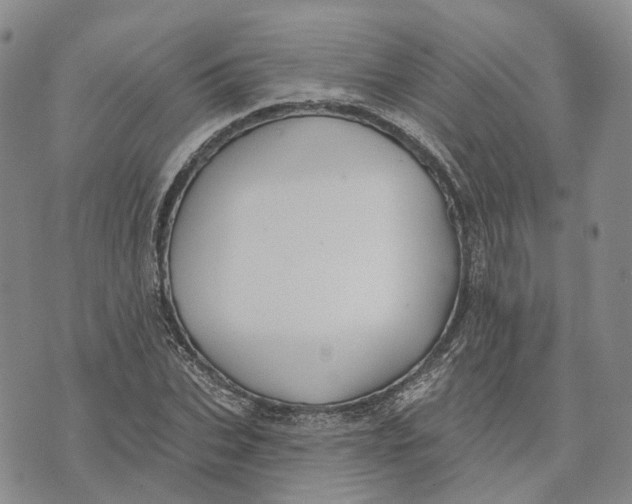 X0000072510927200608041502