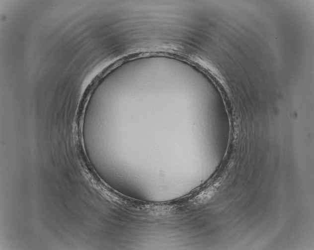 X0000072510928200608041502