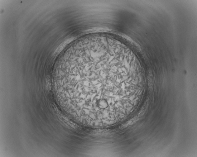 X0000072510929200608041502