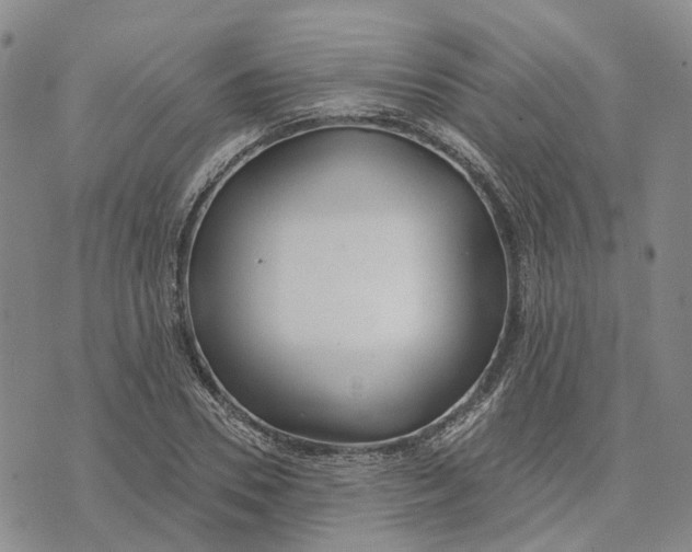 X0000072510930200608041503