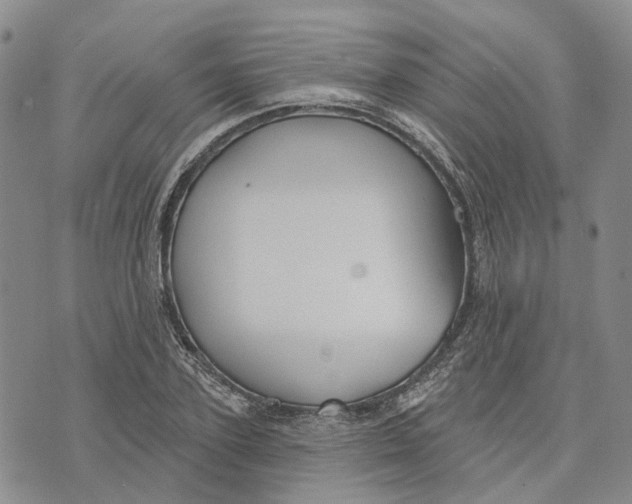 X0000072510931200608041503