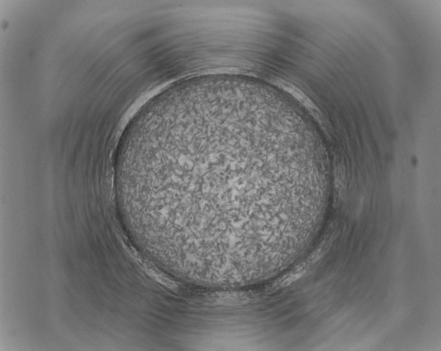 X0000072510933200608041503