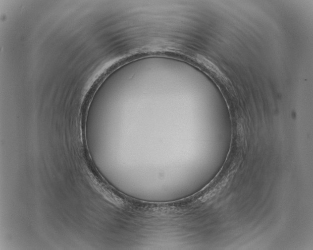 X0000072510934200608041503