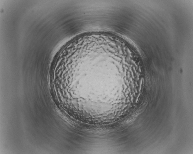 X0000072510935200608041503